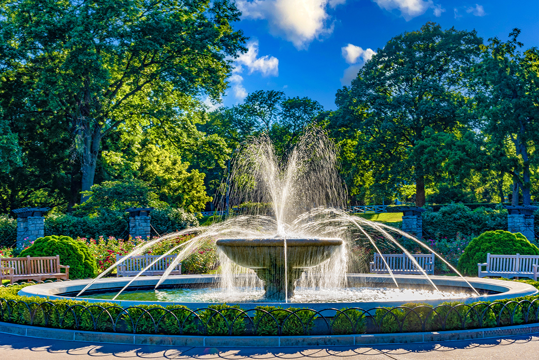 Loose　Print　City　of　Inman　Park　Garden　Roy　Rose　Fountain　Fountains